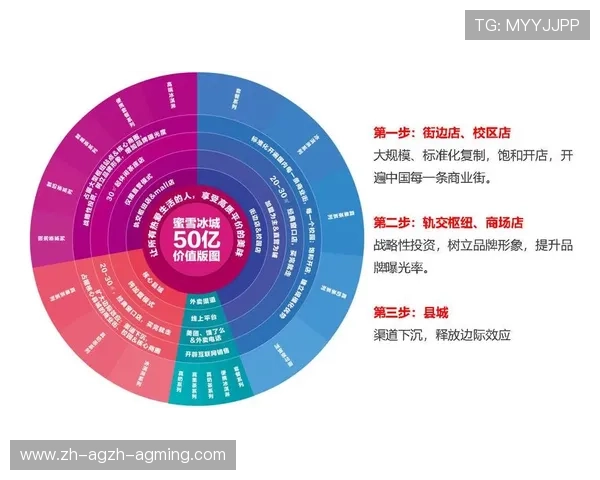 球队年度财务状况报告反映运营健康与投资策略